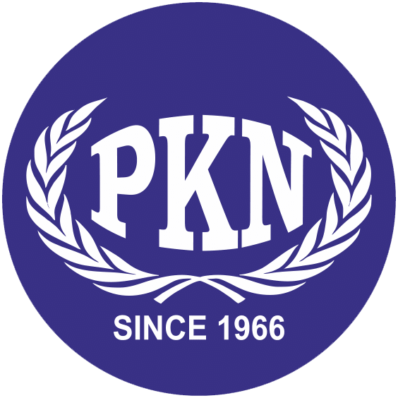 PKN Company Logo